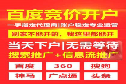 实战派经验分享：百度竞价代理成功案例揭秘